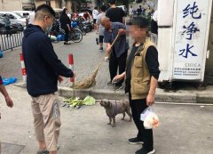 这些人力就能够实正投入四处理中